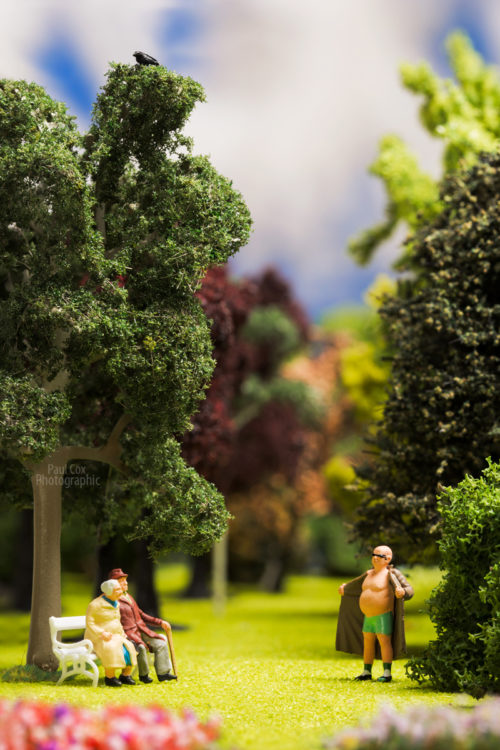Park Flasher