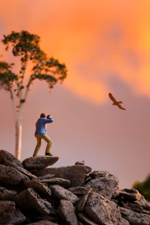 bird-photographer